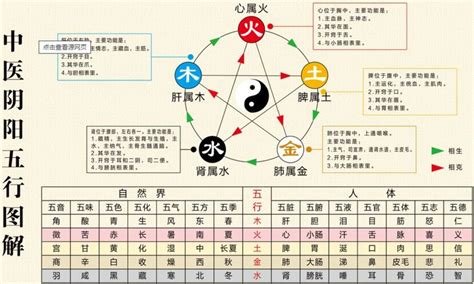 五行相侮|2．五行生克乘侮规律